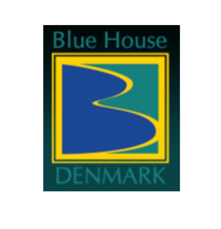 Вилла Blue House Денмарк Экстерьер фото